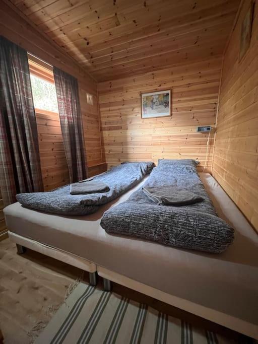 Cozy And Spacious Cabin Svensby Kültér fotó